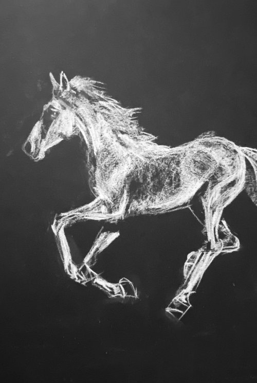 Horse I by Olga Bolgar