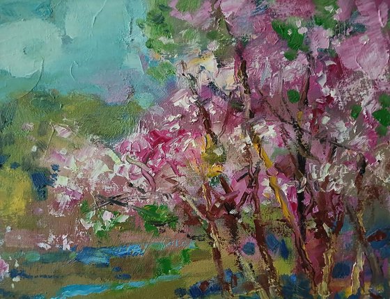 Spring Stream in the Forest