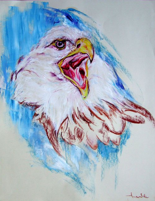 Eagle's Eye by Anna Sidi-Yacoub