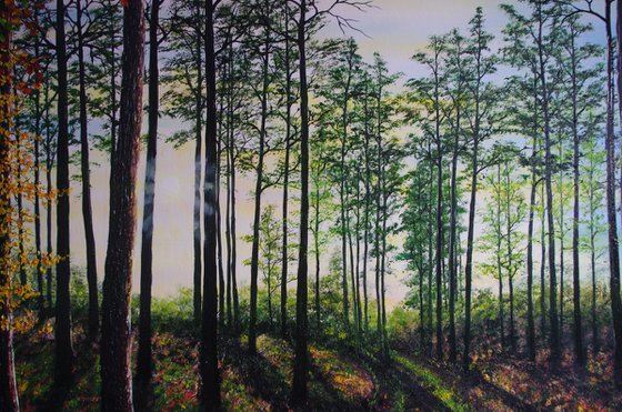 Shadows Before Dusk