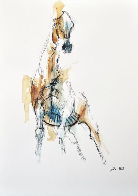 Equine Nude 62t