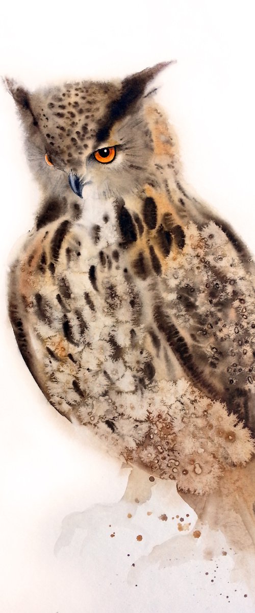 Eagle Owl - Original Watercolo by Olga Beliaeva Watercolour