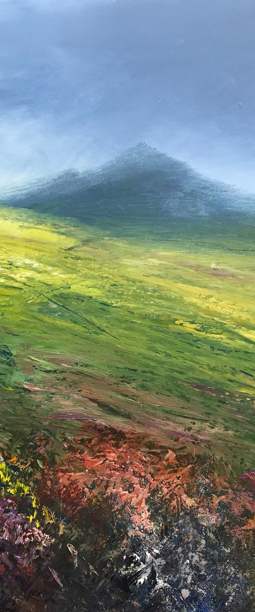 Dartmoor walk to Hare Tor by Laure Bury