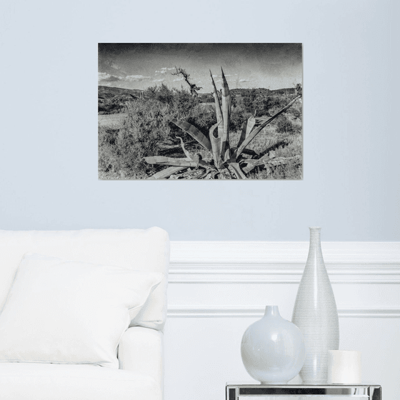 Paysage désertique au Cactus (Piezography)