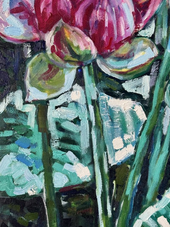 Water lilies