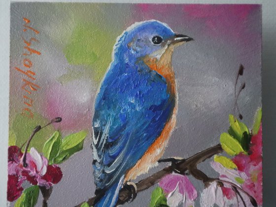 Bird of Happiness. Bluebird