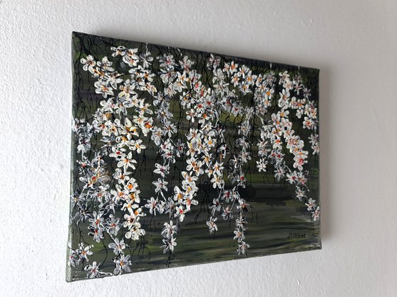 White Cherries 1