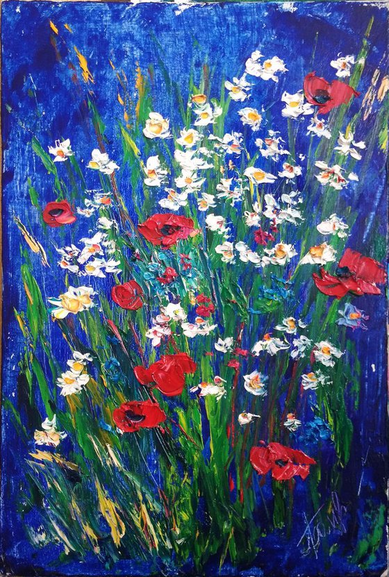 Poppies and daisies at the meadow
