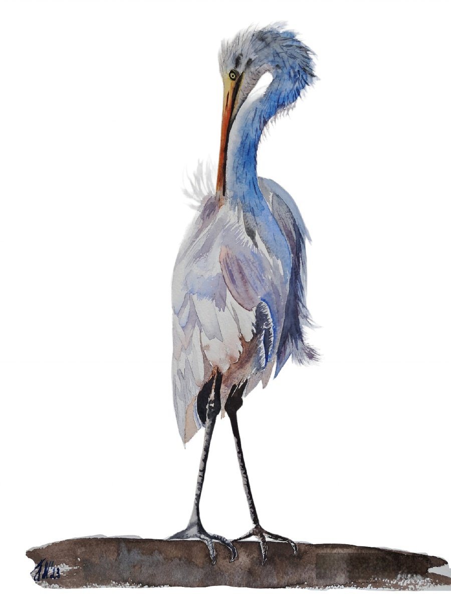 Animal Print By Yuliia Sharapova, 12 X 17", White Strok Heron, Original Artwork