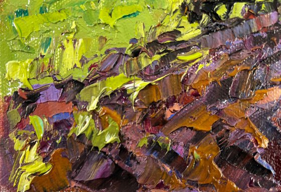 Morning in the village