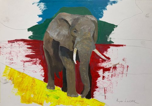 Elephant Study oil on paper 16x24 by Ryan  Louder
