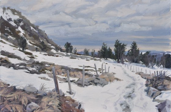 Winter light over the Mézenc