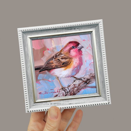 Bird Rosefinch