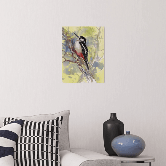 Dawny Woodpecker