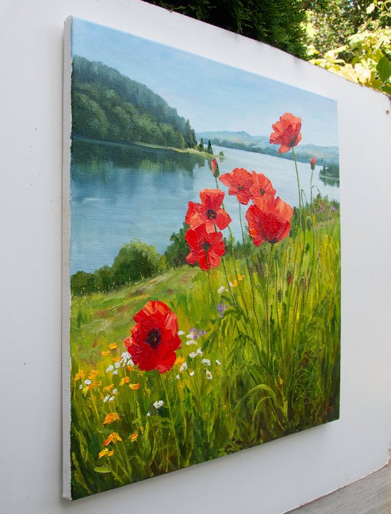 Field of poppies.