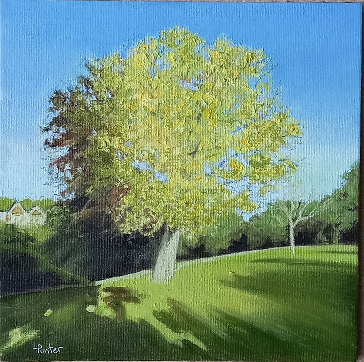 Landscape Oil Painting By Lisa Punter, 8 X 8", Autumn Light 2, Original Artwork