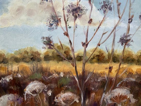 Whispers of Summer