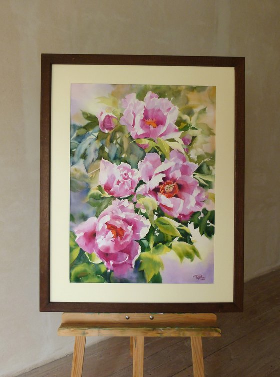 PINK PEONIES#4