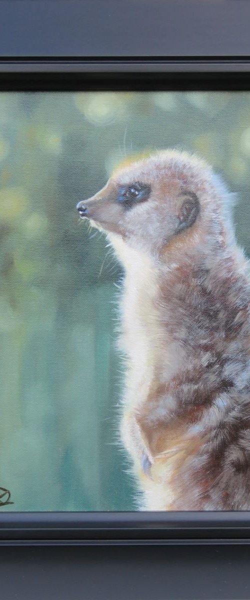 Merekat on the lookout by Kerry Lisa Davies