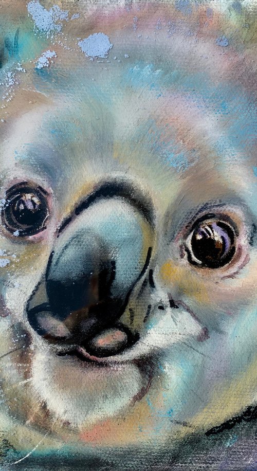 Clarence Koala Bear by Carol Gillan