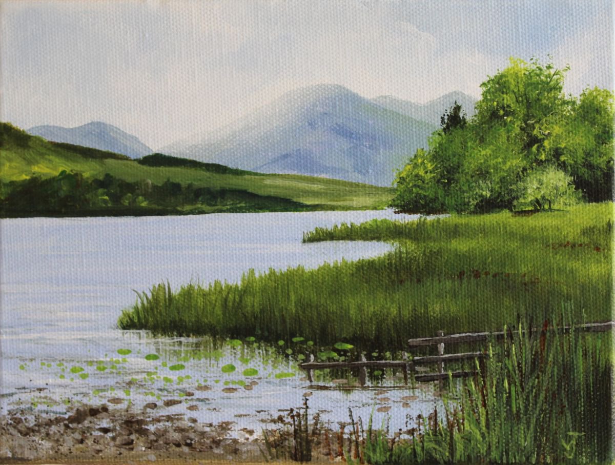 Summer at Loweswater by Valerie Jobes