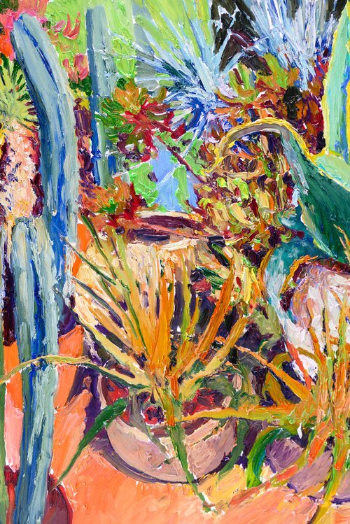 Succulents and Cactuses by Suren Nersisyan