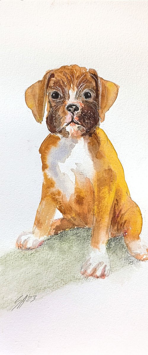 Dog II by Salana Art / Svetlana Samovarova