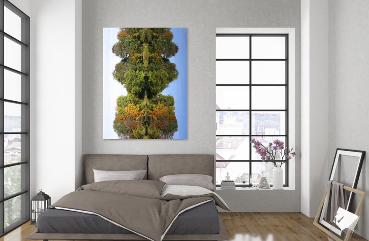 Organic Botanical Photograph By Marc Ehrenbold, 40 X 30", Symmetry In Nature, Original Artwork