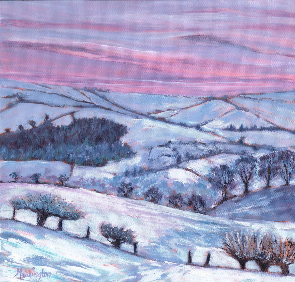 Welsh Hills in Snow by Michele Wallington