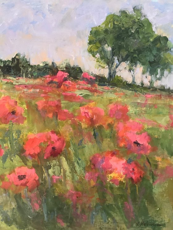 Poppies