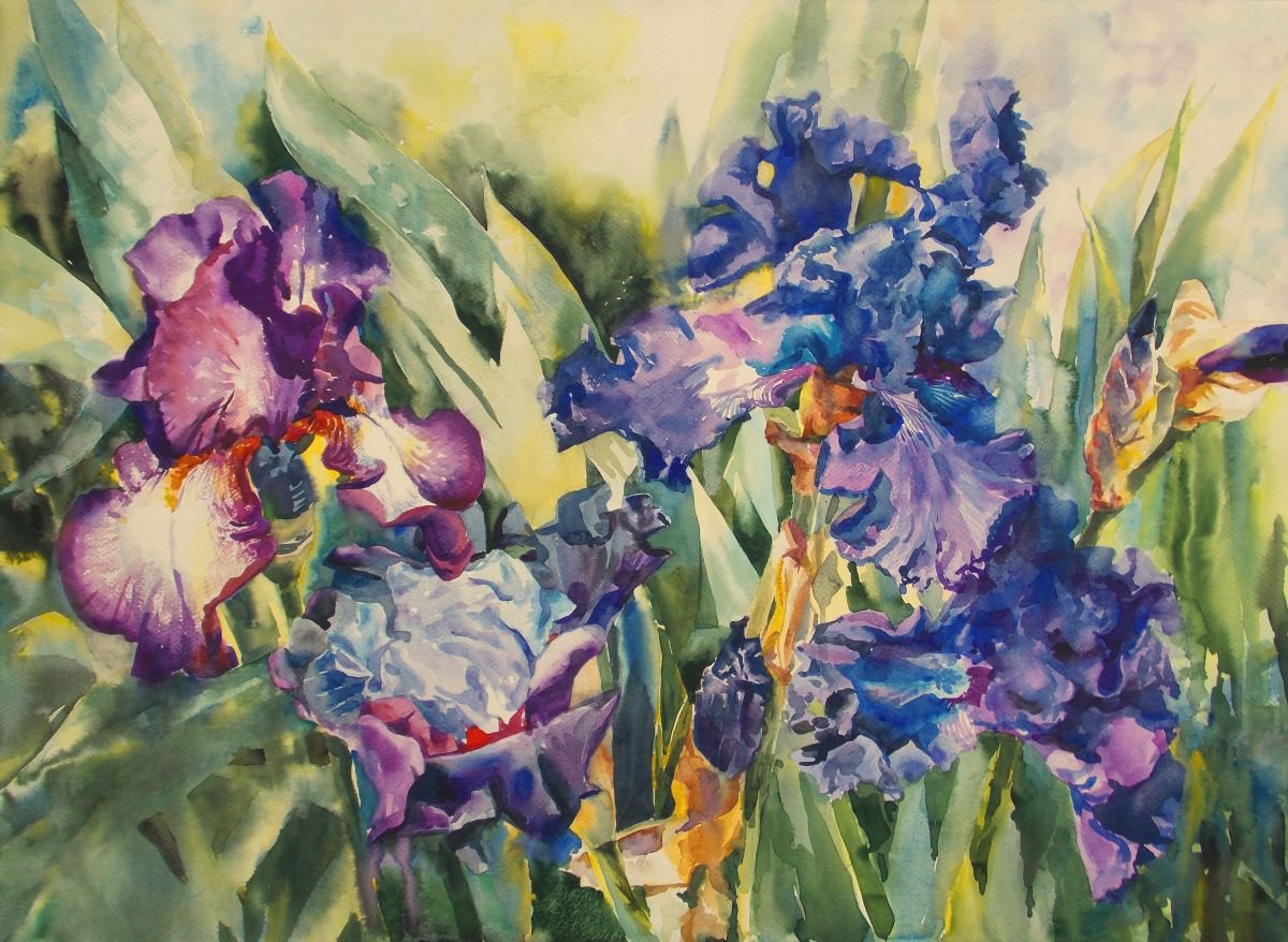 Irises in the garden #2 by Yuryy Pashkov