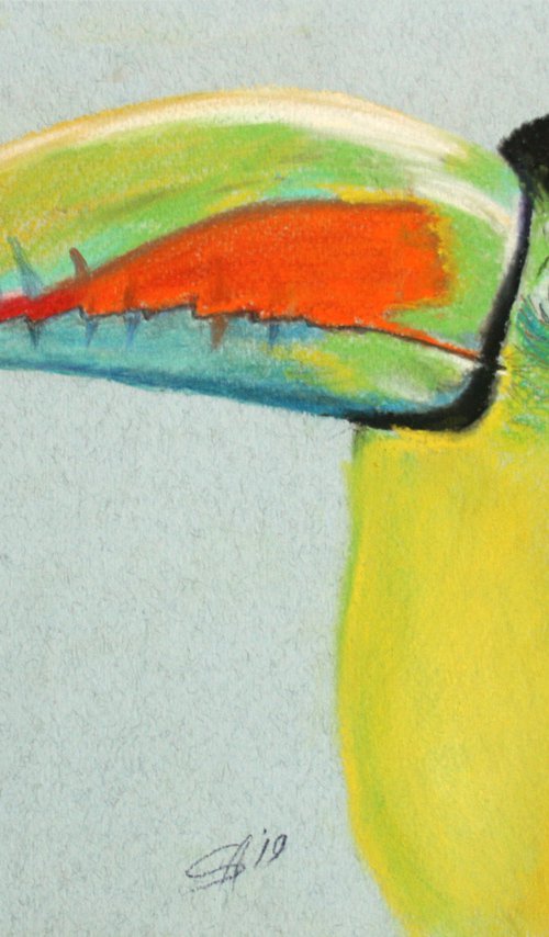 Rainbow Toucan /  ORIGINAL PAINTING by Salana Art Gallery