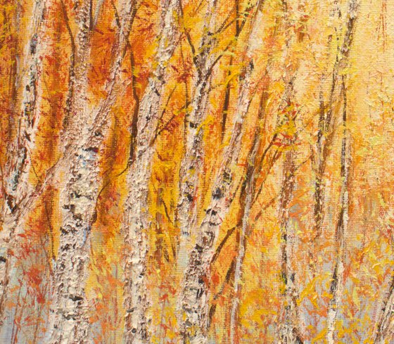 Autumn birch trees forest