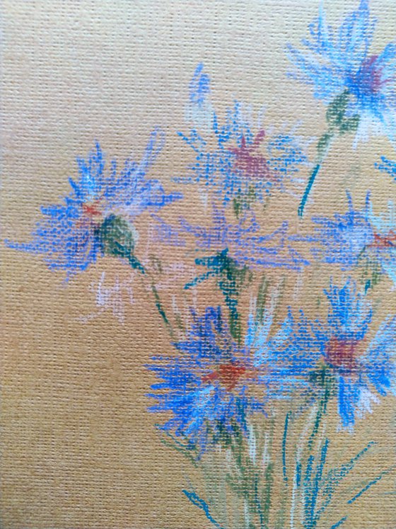 Cornflowers. Pencil drawing on brown paper. Miniature