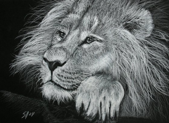 Lion I