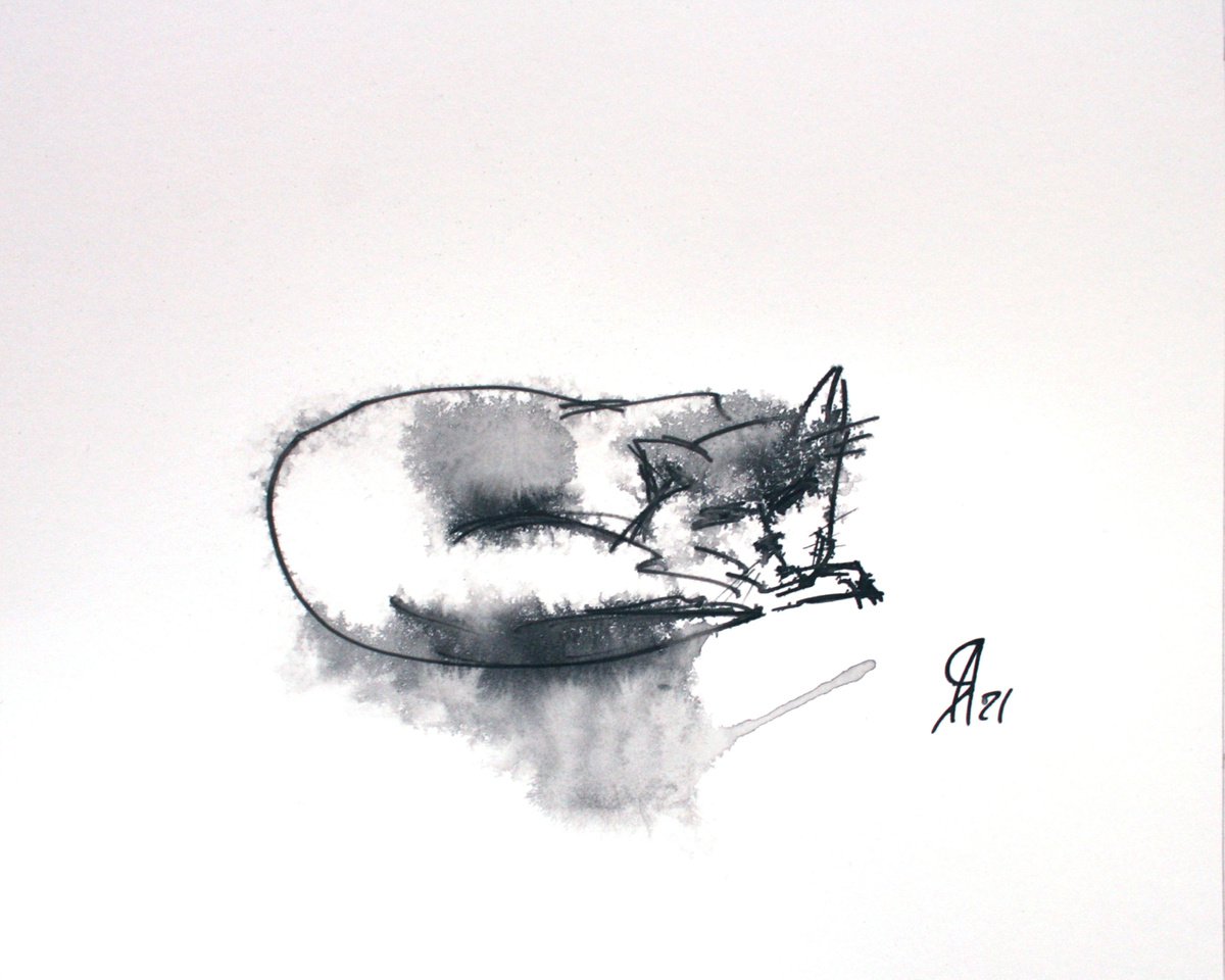 Animal Ink Drawing By Salana Art / Svetlana Samovarova, 10 X 8", Cat I, Original Artwork