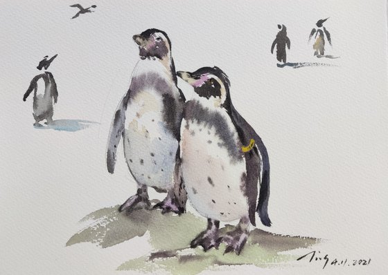 Penguins