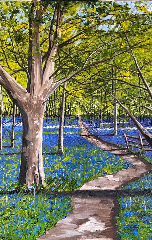 BLUEBELL WOODS by MAGGIE  JUKES