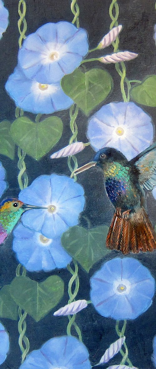Morning Glory and Humming birds by Sophie Colmer-Stocker
