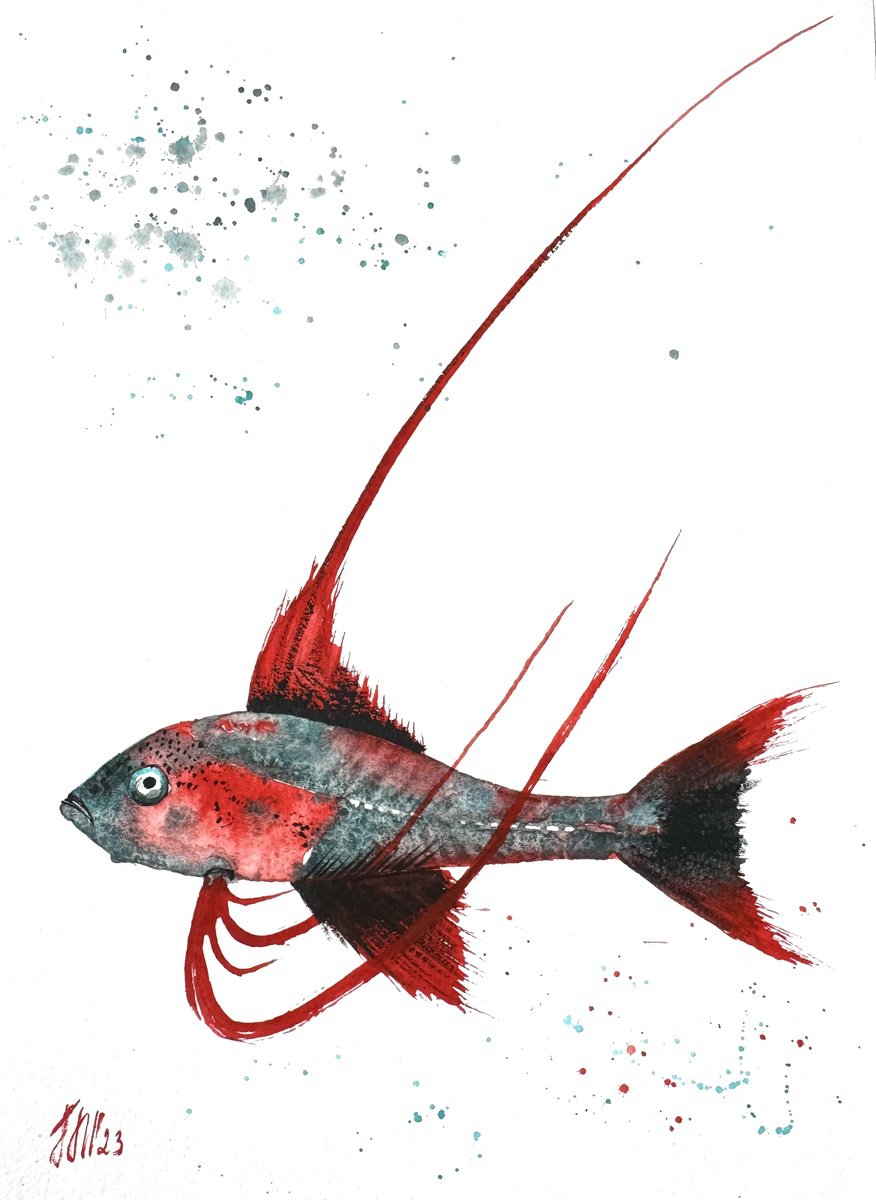 Animal Watercolour By Yuliia Sharapova, 12 X 16", Exotic Red & Black Fish, Original Artwork