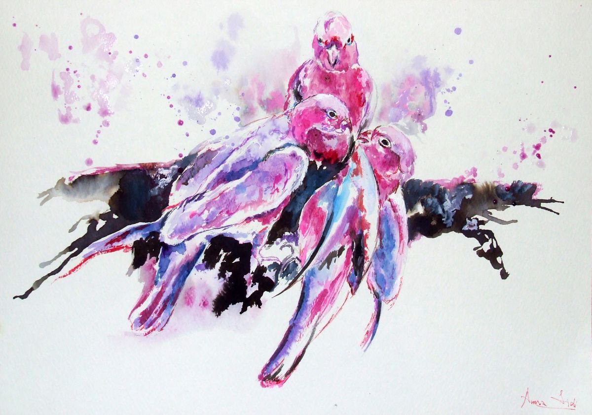 Birds fight / Watercolour by Anna Sidi-Yacoub
