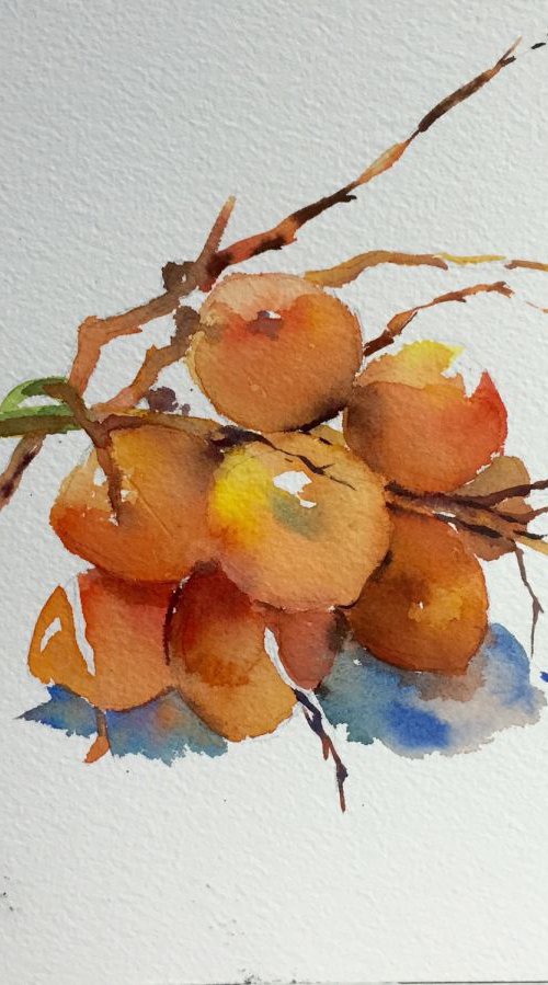 Palm Fruit by Jing Chen