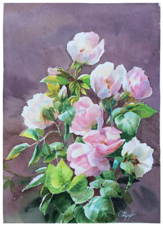 rosehip flowers