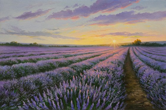 Landscape with lavender