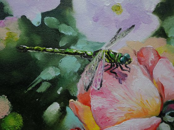 Dragonfly on Pink Rose