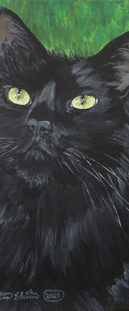 Charismatic Cat by Nina Elaine Thompson
