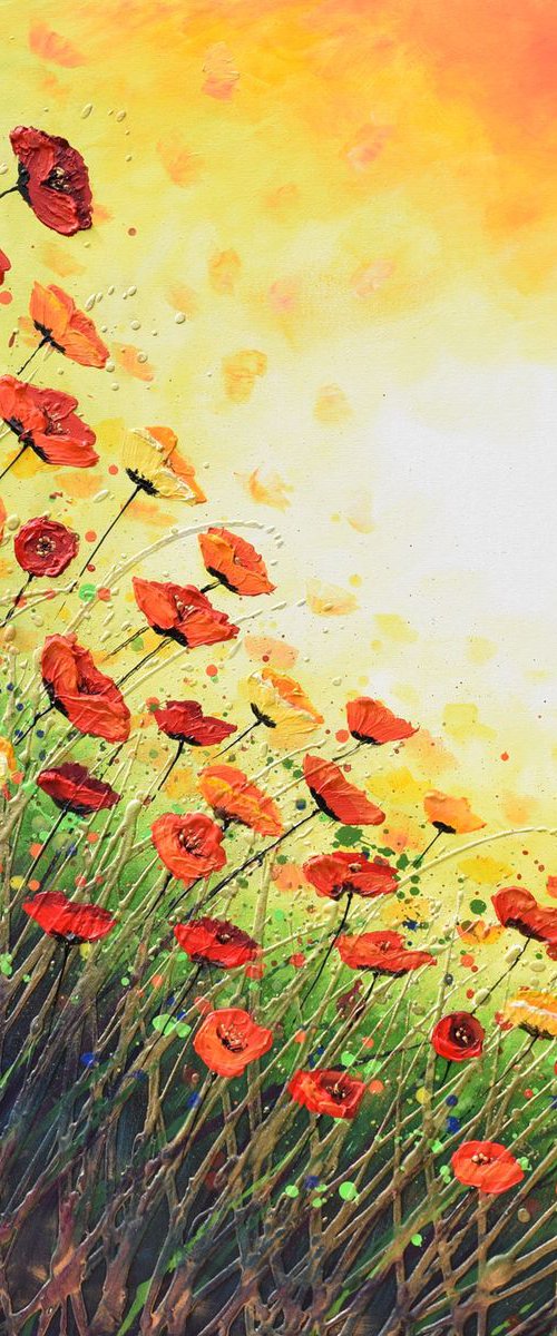 Popping with Red Poppies by Amanda Dagg