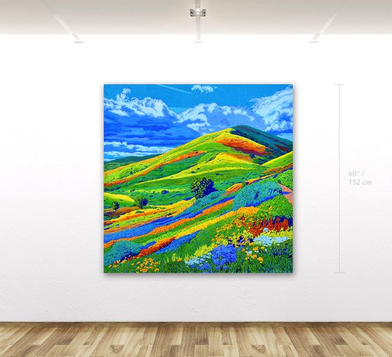 California Hills In Bloom