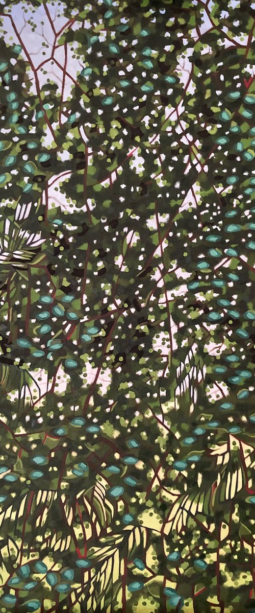 Cloud Forest by Tarja Laine