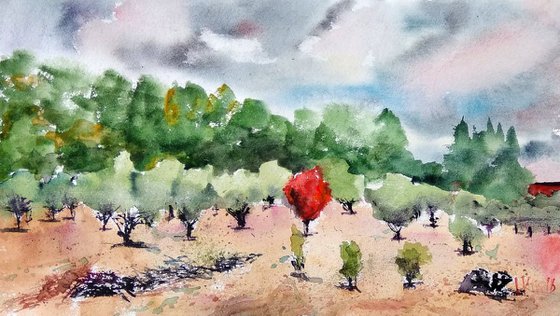THE OLIVE GROVE